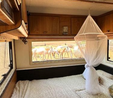 Lagos House | Pauls caravan for 4 - See the horses from your bed