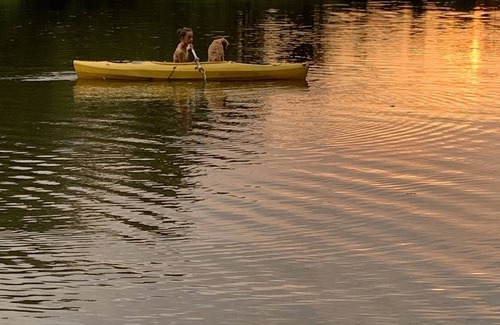 Summerton House | Peaceful Lakehouse with Beautiful Views