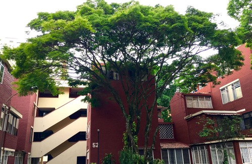 Cali Apartment | Peaceful & relaxing listing by Cosmocentro Shopping Center.