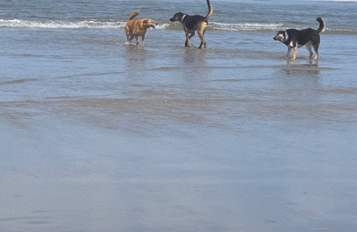 Barview House | Peaceful RV with WiFi in charming Coos Bay. Pet friendly.