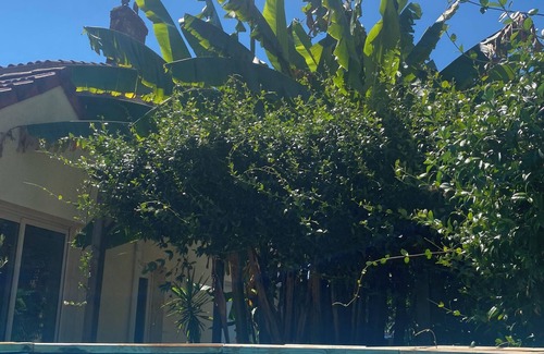 Cenon House | Peaceful town house