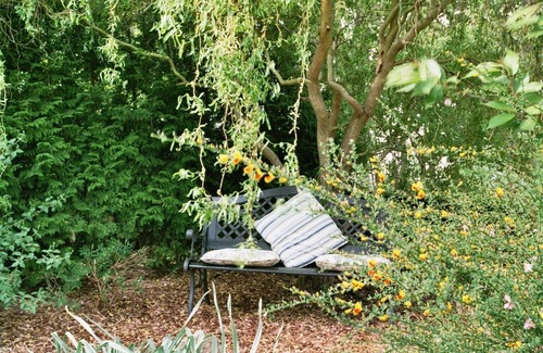 Leiwen Apartment | Peaceful vacation apartment in the ideal wine village of Leiwen an der Mosel