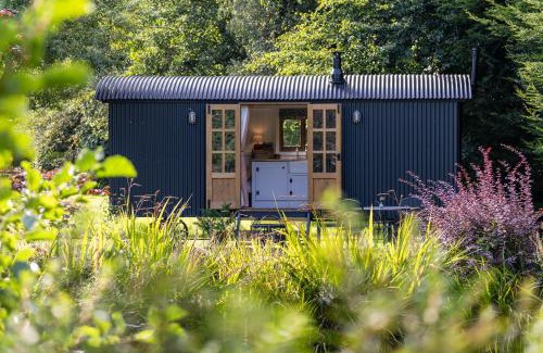 Ballymoney Bed & Breakfast | Peatlands