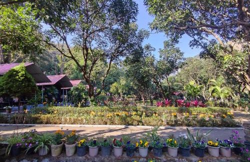 Sirala Resort | Pebbles Resort