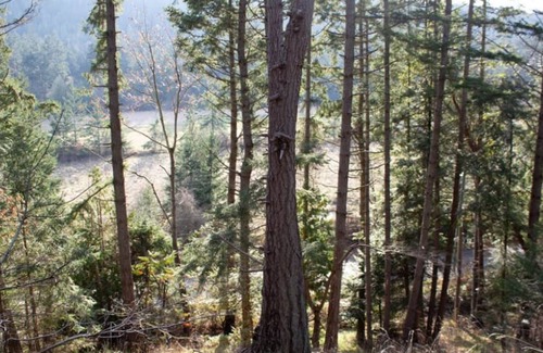 Pender Island House | Pender Island Gnome Home