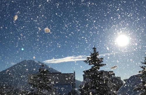 Hirafu Cabin | Pension Berg