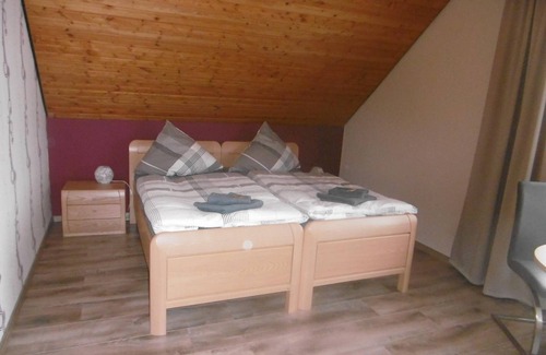 Hinzerath Cottage | Pension "Haus Hochwaldhöhe" - double room shower/WC