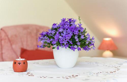 Altharlingersiel House | Pension Hohaus