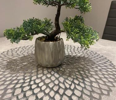 Bernkastel-Kues House | Pension Mona Lisa