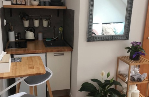 Pardubice House | Pension Skylark