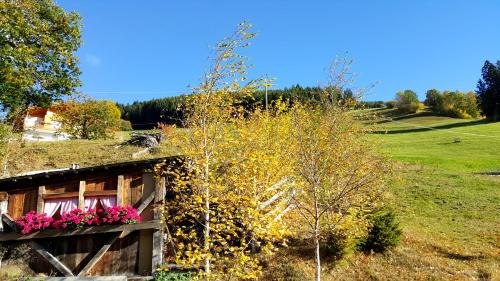 Schenna House | Pension Verdinserhöhe