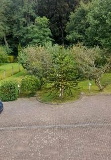 Goldberg House | Pension zum Park