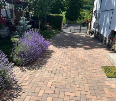 Axente Sever Apartment | Pensiune cu restaurant