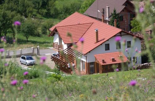 Ciugud House | Pensiunea Casa din Vii