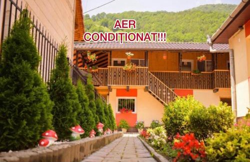 Sugag House | Pensiunea Casa Ioana