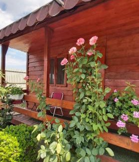 Mahmudia House | Pensiunea Raluca