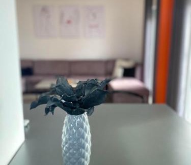 Çagllavicë Apartment | Penthouse Suite