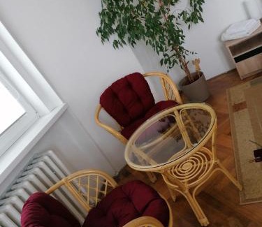 Zatec Apartment | Penzion Flóra