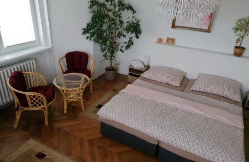 Zatec Apartment | Penzion Flóra