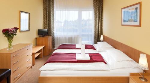 Frantiskovy Lazne Hotel | Penzion Hubert Františkovy Lázně