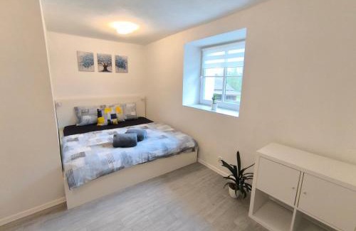 Cerna V Posumavi House | Penzion NAROZI Lipno