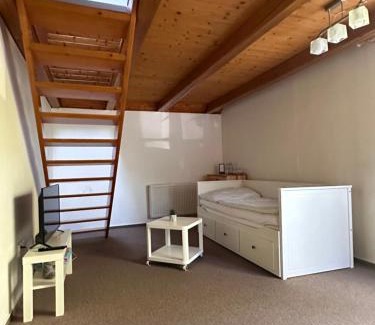 Sezimovo Usti House | Penzion & Restaurace U Vily