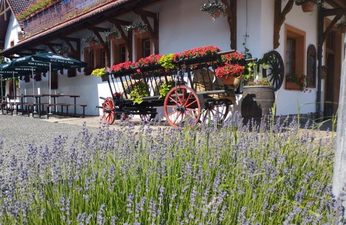 Libun House | Penzion Restaurace u Helferů