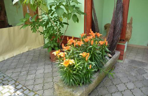 Jindrichuv Hradec House | Penzion U Šelongů