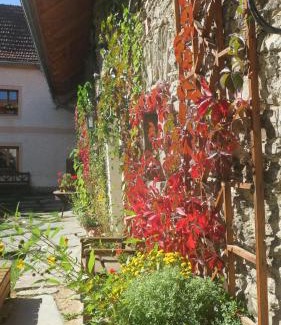 Omlenice House | Penzion Vinicky dvůr