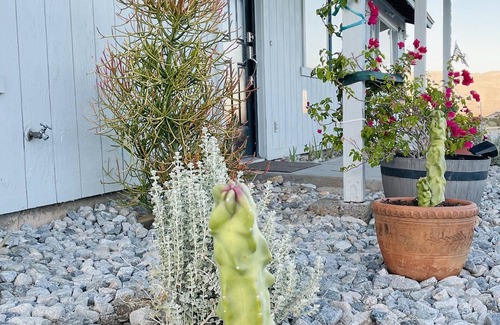 Borrego Springs House | Perfect Desert Getaway