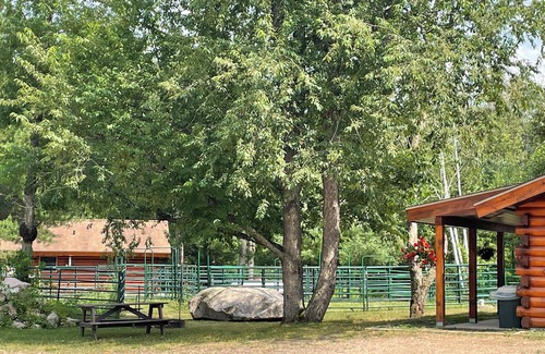 Mountain Cabin | Perfect for Couples, Pet Friendly, Wildlife Theme, Log Cabin, Fireplace
