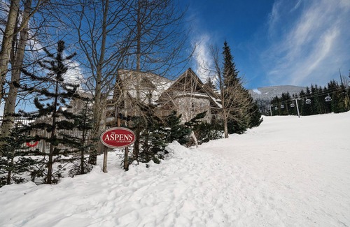 Upper Village Apartment | Perfect Mountain Retreat at Whistler - Blackcomb!