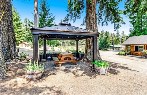 Quilcene Apartment | Perfectly located dog-friendly studio with mountain views & fast WiFi
