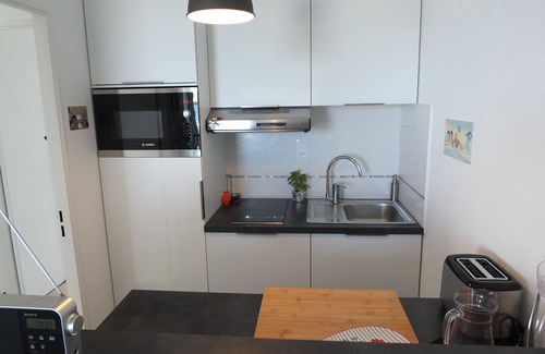 Penvenan Apartment | Perros Guirec Bay, Bréhat in Port Blanc beautiful T2 WIFI magnificent sea view