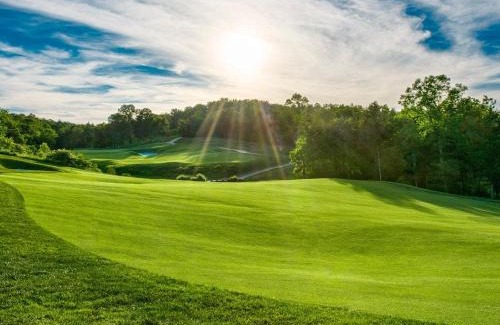 Branson House | Personal Getaway. Golf Resort Gem. Great Location!