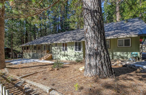 Camp Connell Cabin | PET FRIENDLY CABIN IN CAMP CONNELL, IMPRESSIVE GAME ROOM AND MORE!