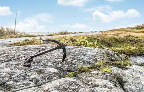 Roan House | Pet Friendly Home In Roan