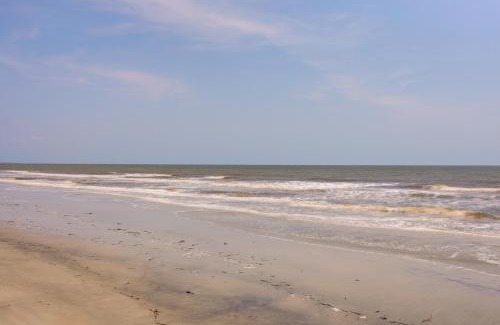 Jekyll Island Apartment | Pet-Friendly Jekyll Island Abode - Walk to Beach!