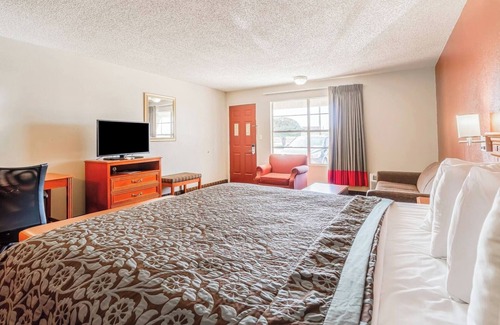 Vernon Hotel | Pet-Friendly King Room with Microwave, Dining Table, and Fridge Included