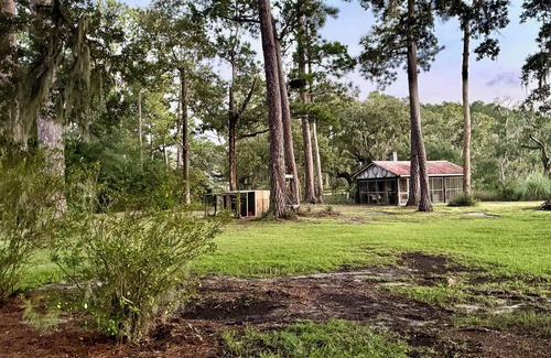 Redhill Cottage | Pet-Friendly, Tranquil Water Front cottage, Beach 20 min, 35 Min to Charleston.