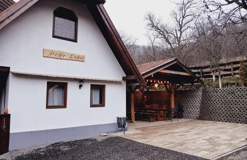 Gornesti House | Peter Cottage