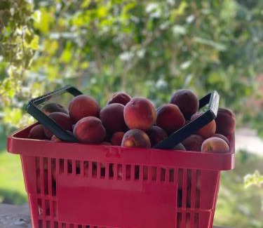 Seica Mare House | Petershaus - casa de vacanța și distractie.