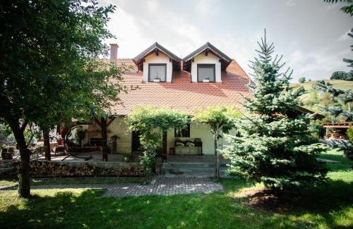 Seica Mare House | Petershaus - casa de vacanța și distractie.