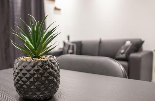 Voltaire - Saint Amour Apartment | Petit Studio Cosy Part-Dieu
