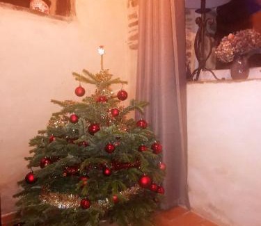Commana House | Petite maison dans les Monts d'Arrée TY COZ