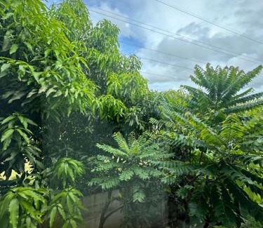 Bang Tao House | Phuket, Townhouse in Bangtao with Private Garden, Pet Friendly