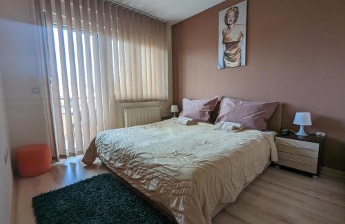 Jagodina Apartment | PICANTE SMESTAJ