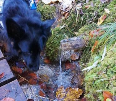 Calalzo di Cadore Apartment | Piccola mansarda nelle Dolomiti