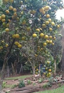 Centro House | Piccolo Recanto