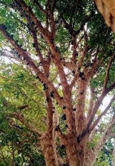 Centro House | Piccolo Recanto